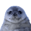 Photo de profil de Silencedeter