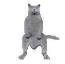 :chatquidanse: