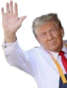 :DonaldCoucou:
