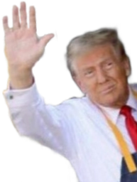 :DonaldCoucou: