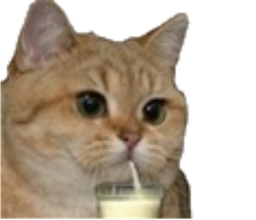 :chat_lait_: