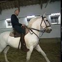ZidaneLeCheval