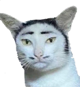 :Atarax: