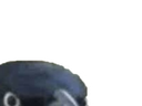 :Corbeau_2:
