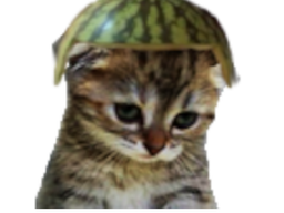 :chat39: