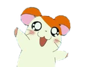 :hamtaroWOW: