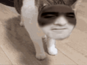 :ChatigueTombe: