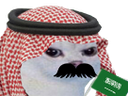 :Saudicat: