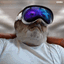 Photo de profil de Proprio
