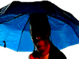 :zidane_parapluie: