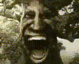 :zinzo:
