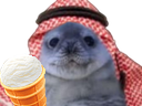 :phoqueglacesaoudien:
