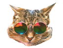 :chatreadyhd: