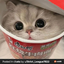 Photo de profil de PetitsFours