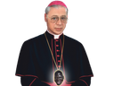 :Cardinal: