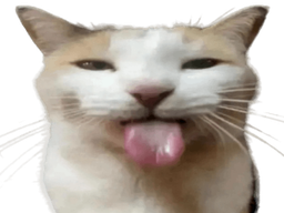 :bleh: