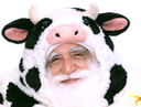 :Vache_a_lait: