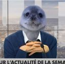 :PhoqueJournaliste: