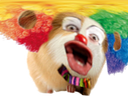 :hamster_perruque_deforme: