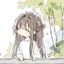 Photo de profil de Lyn