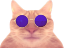 :chatpill: