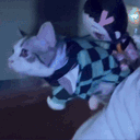 :KJ_chat_volant: