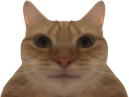 :cat: