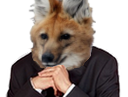 :tonyzemmour: