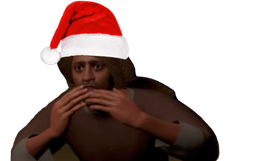 :Hnonoel: