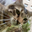 Photo de profil de MogisQuantique
