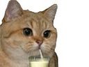 :sodium_lait: