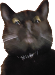 :Choupinou_malice: