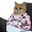 Photo de profil de Adminette