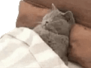 :disparaitre: