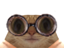 :chat_lunettes_gif: