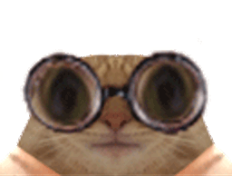 :chat_lunettes_gif: