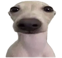 :tourelle_toutoubot: