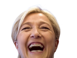 :marine_zinzoline:
