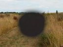 :Eclipsed_selection: