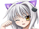 :Koneko_Nya: