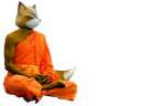 :foxmedit: