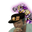 Photo de profil de Portafo