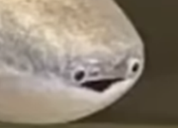 :SnafishZoom: