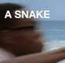 :SnakeChidi: