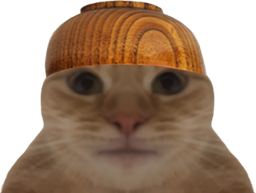 :Chat_bolenbwa: