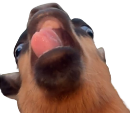 :miii: