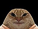 :Chat_Gange: