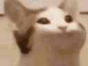:blablabla2:
