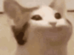 :blablabla2: