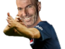 :zidane_shills: